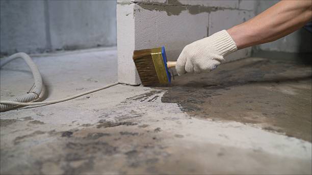 Top rated local Wet Basement Repair specialists in Topeka, KS